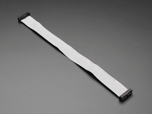 Ленточный кабель GPIO 2x10 IDC — 20 контактов, длина 12 дюймов — фото 2