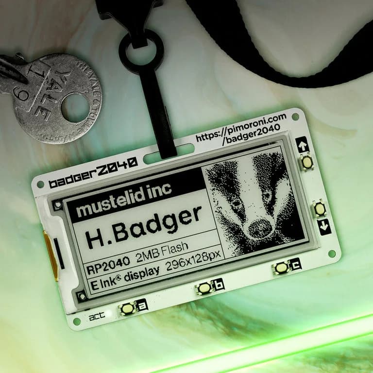 Badger 2040--
