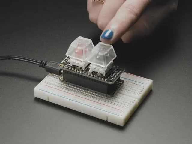 NeoKey FeatherWing — два механических переключателя с ключом NeoPixels